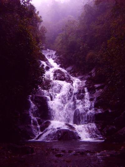 mi&eacute;rcoles 22 de marzo